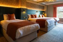 Family dbl 2 sgls ornage & green close up