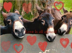 You will love Valentine's here with us!