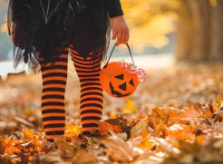 Halloween midterm escapes